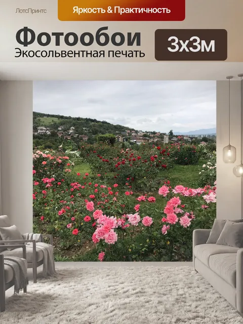 Фотообои Розы