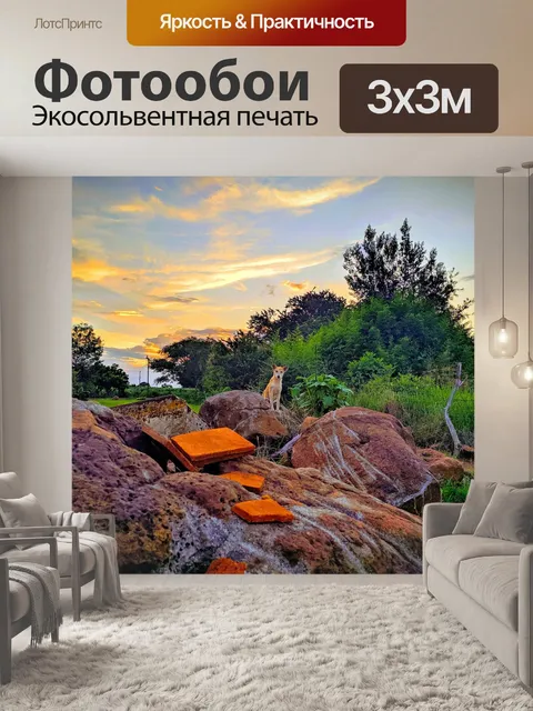 Фотообои Собака