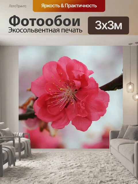 Фотообои Вишня
