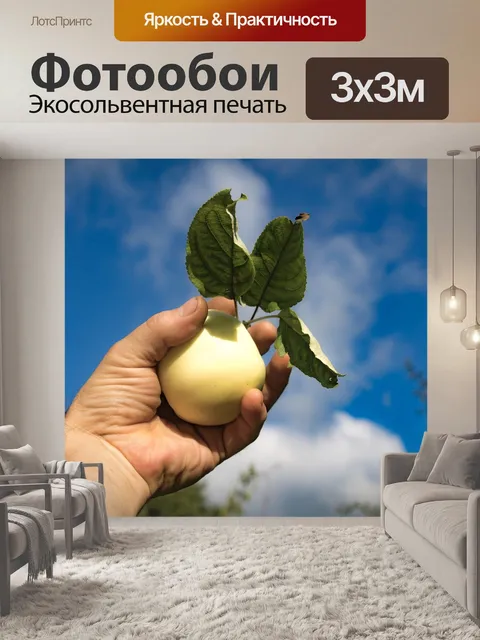 Фотообои Яблоко