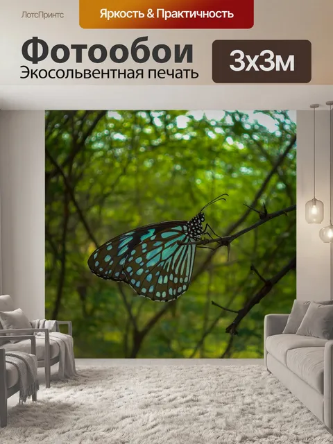 Фотообои Бабочка