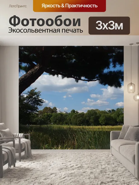 Фотообои Сеульский лес
