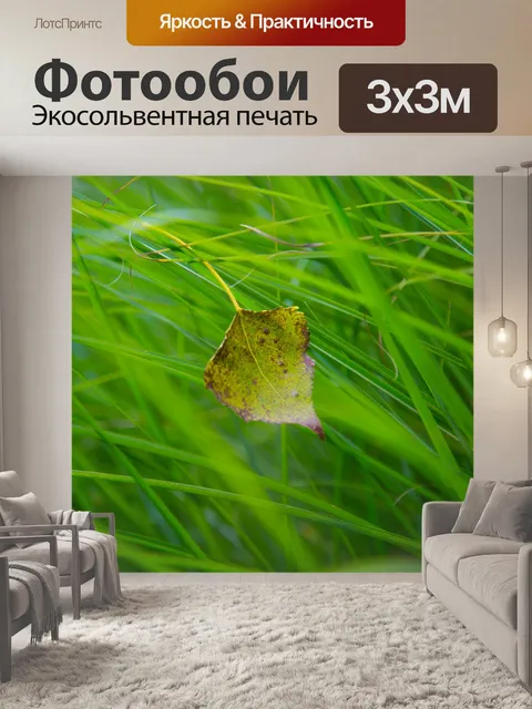 Фотообои Осенний лист в траве