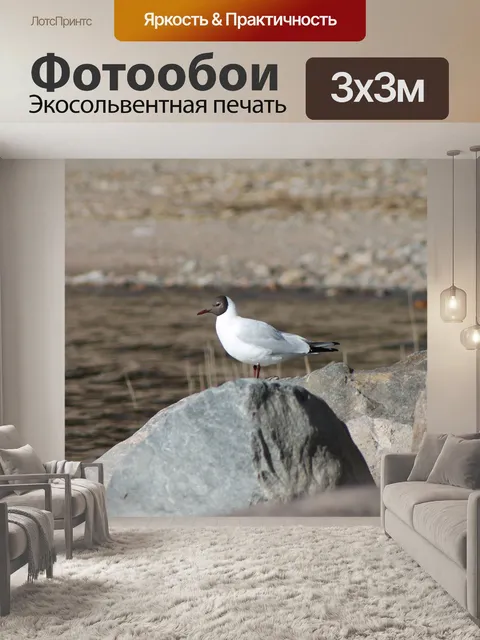 Фотообои Птица