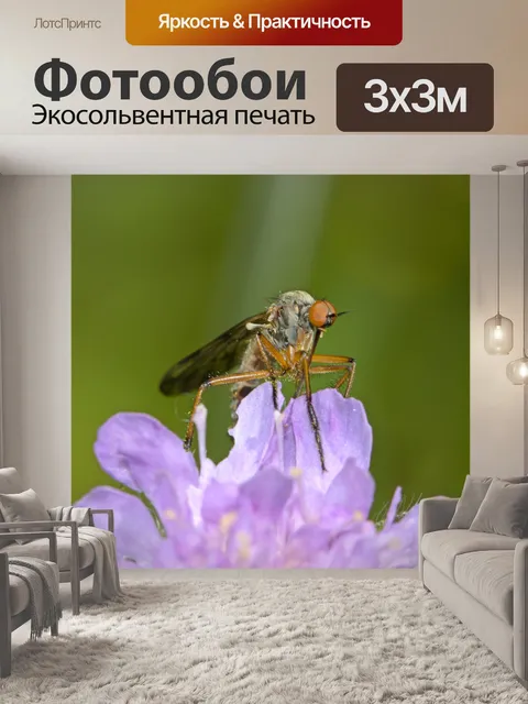 Фотообои Fly на розы