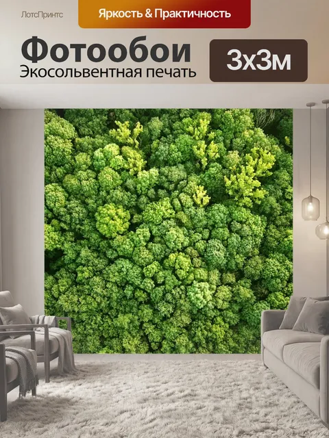 Фотообои С высоты птичьего полета