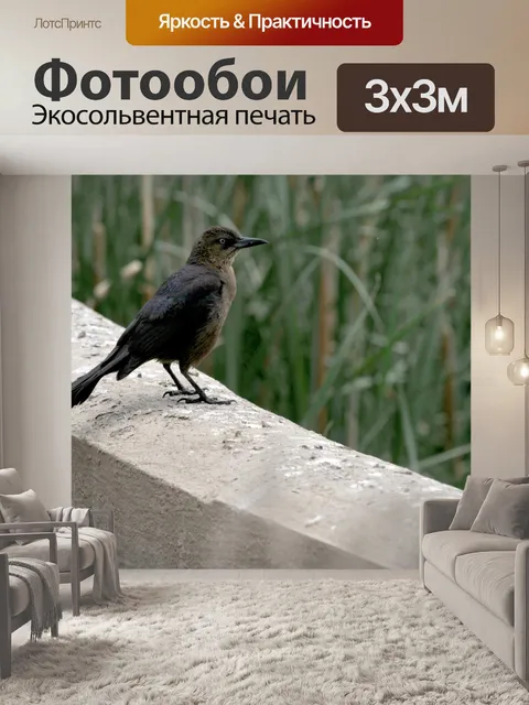 Фотообои Птица на стене