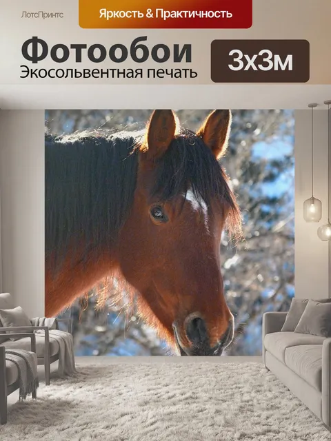 Фотообои Лошадь