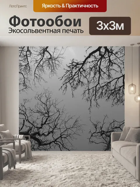 Фотообои Деревья