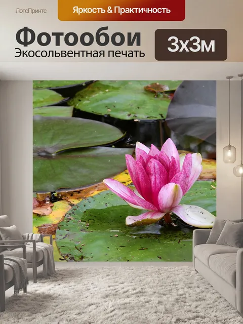 Фотообои Цветок
