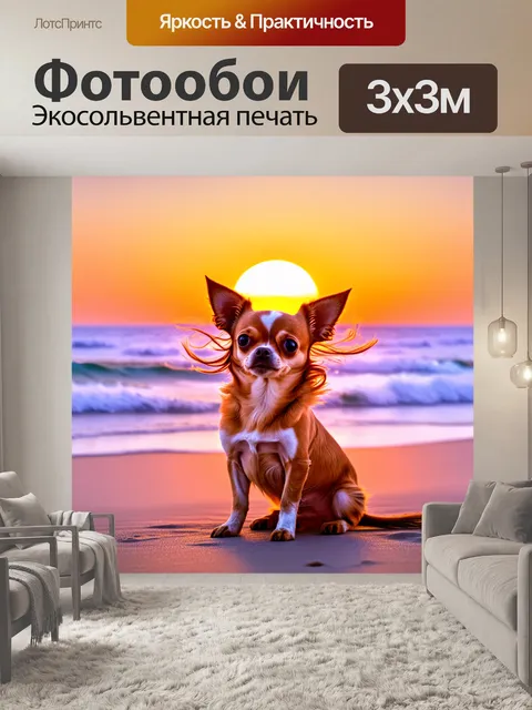 Фотообои чихуахуа, сидящий на берегу моря, его шерсть развевается на ветру