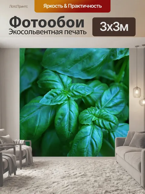 Фотообои Бэзил