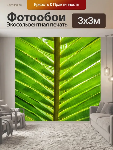 Фотообои Натуральные кокосовые листья