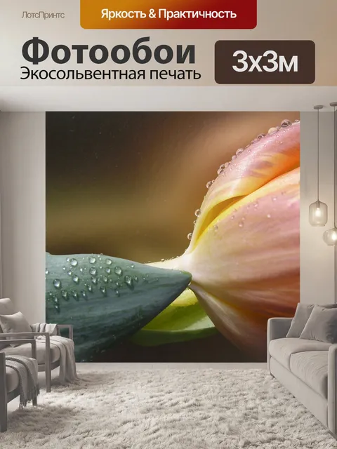 Фотообои Тюльпаны