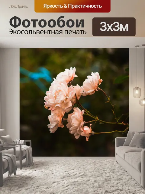 Фотообои Розы