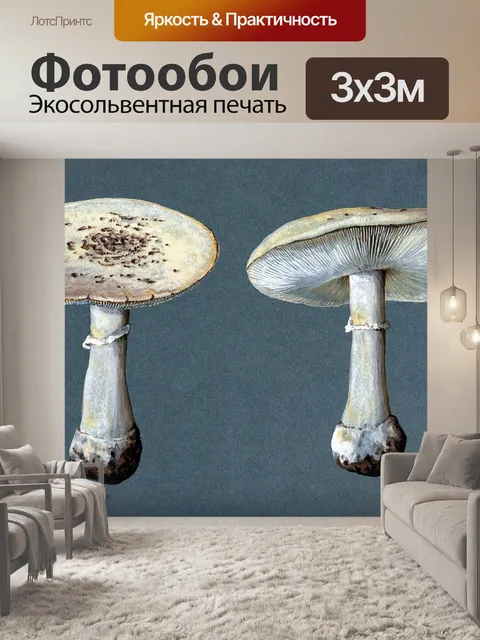 Фотообои Винтажная иллюстрация чемпиона грибов