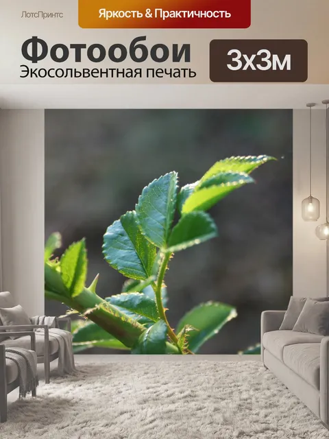 Фотообои Роза филиал и листьев