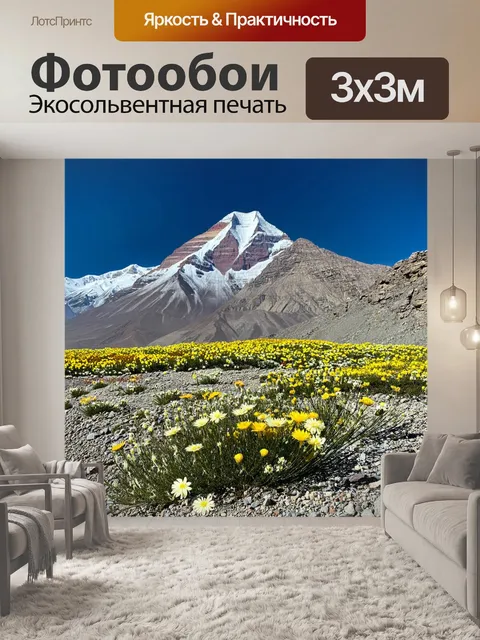 Фотообои на фоне горного хребта, завершающегося снежной горой кайлас, разбросаны многолетние цветы