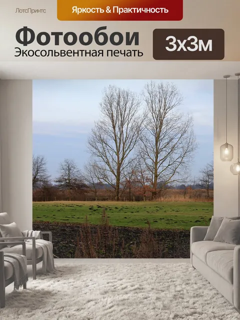 Фотообои Поля