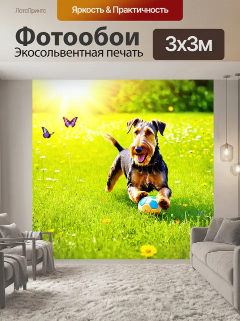 Фотообои счастливый эрдельтерьер, играющий с мячом на зеленом лугу под ярким солнечным светом