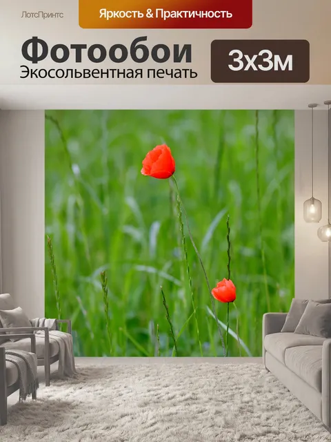 Фотообои Маки