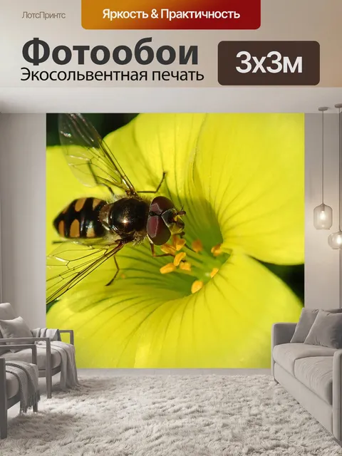 Фотообои Цветок
