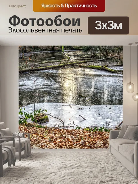 Фотообои Замороженный
