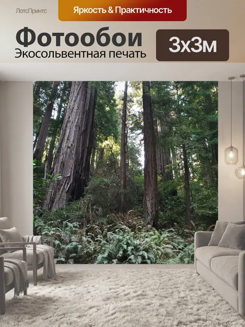 Фотообои Высокие деревья снизу