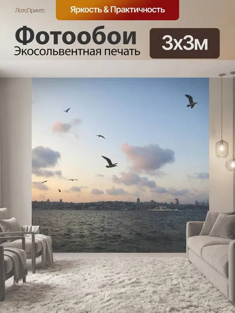 Фотообои Чайки
