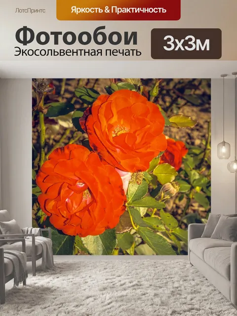 Фотообои Роза