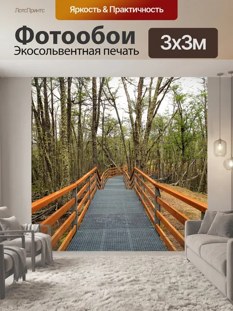 Фотообои Путь