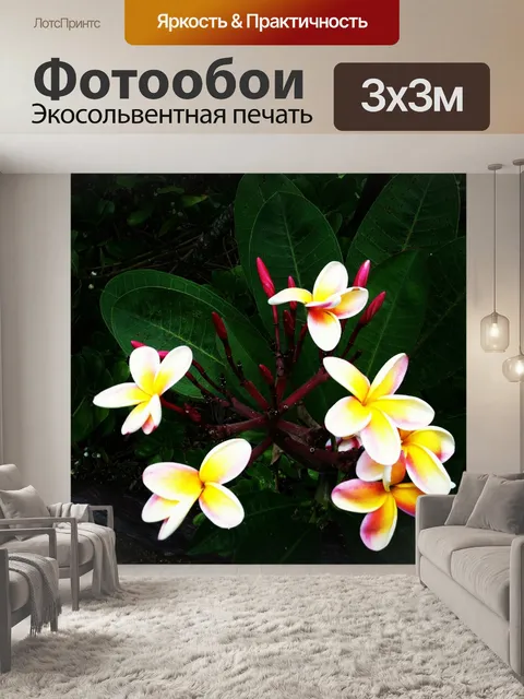 Фотообои Плюмерия