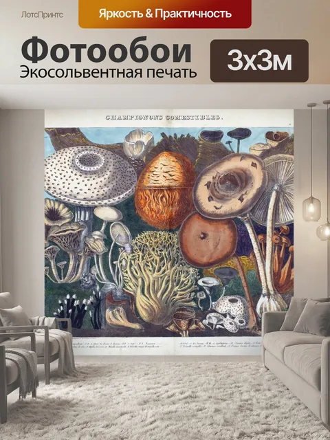 Фотообои Винтажная иллюстрация чемпиона грибов