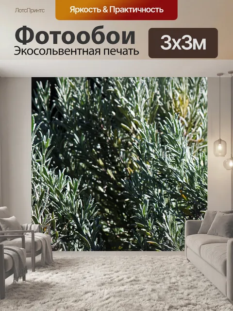 Фотообои солнечный свет на зубчатом кусте лаванды