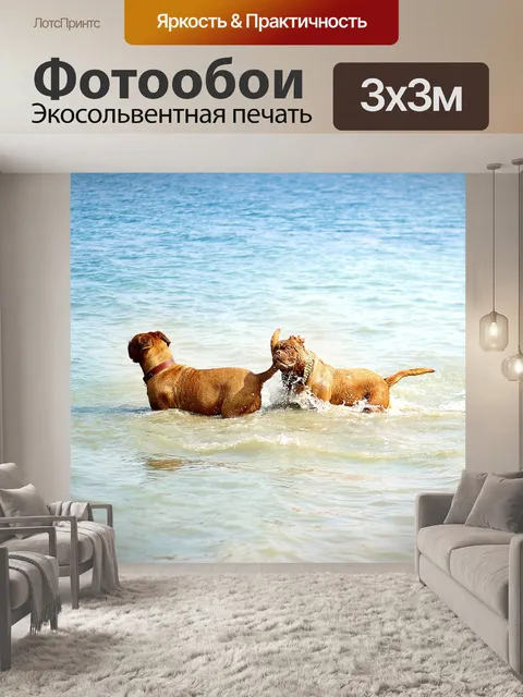Фотообои Бургундия
