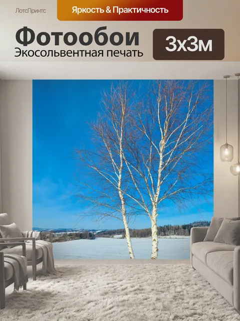 Фотообои Березы зимой