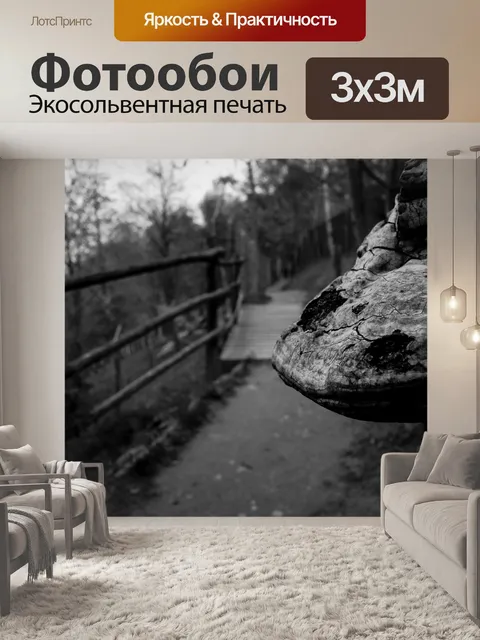 Фотообои Тропа