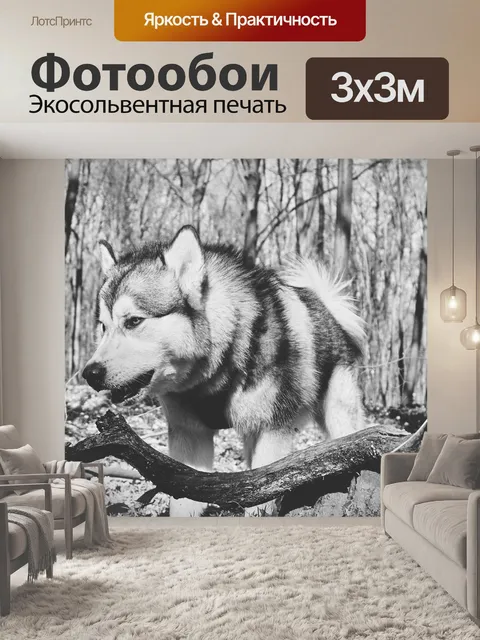 Фотообои Собака