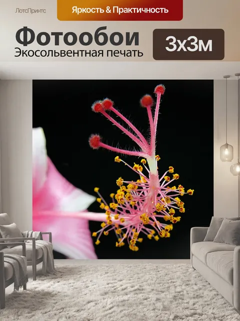Фотообои Цвести