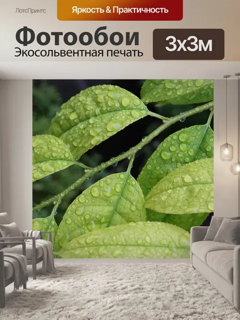 Фотообои Дождливый