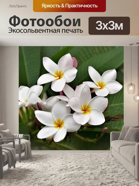 Фотообои Цветок