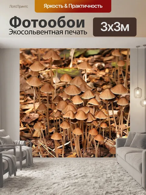 Фотообои Грибы