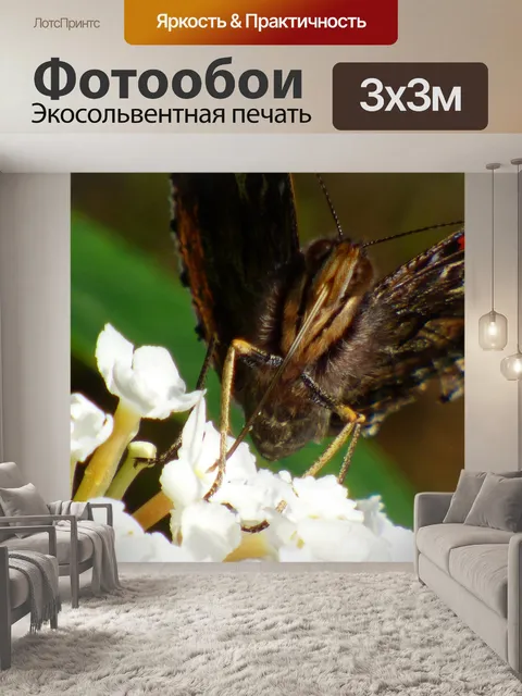 Фотообои Бабочка на цветке