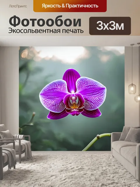 Фотообои орхидея, расцветающая в тумане, создавая романтическое чувство на утро
