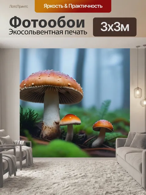 Фотообои лесные грибы в тумане