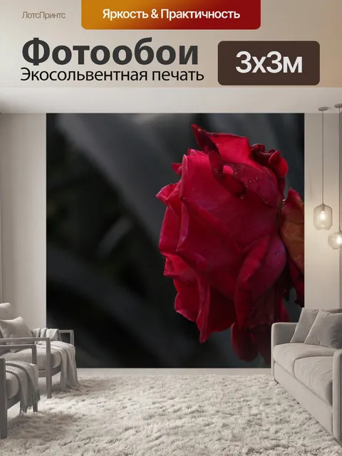Фотообои Розовый