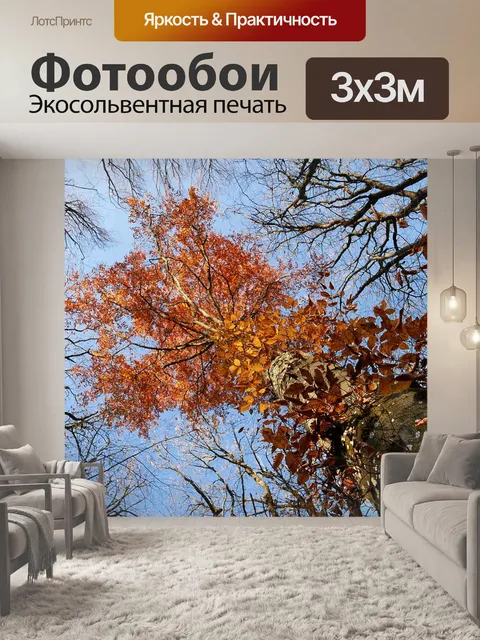 Фотообои Дерево
