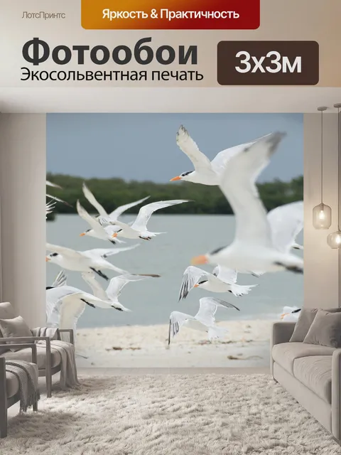 Фотообои Птицы