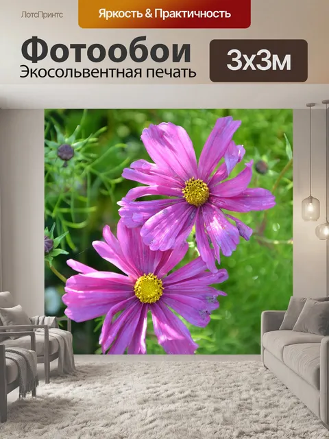 Фотообои Цветы розовый фуксия