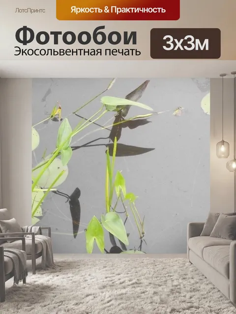 Фотообои Размышления
